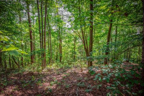 Lot 103r Mountain Creek Hollow Drive Talking Rock GA 30175