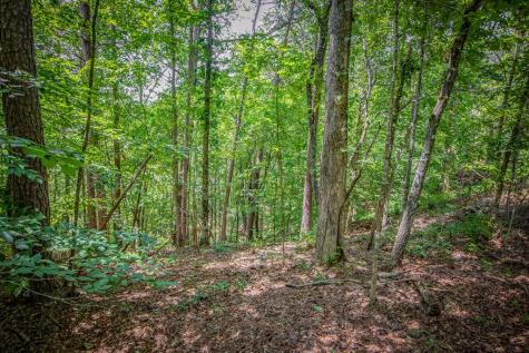 Lot 103r Mountain Creek Hollow Drive Talking Rock GA 30175