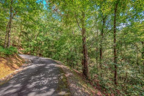 Lot 103r Mountain Creek Hollow Drive Talking Rock GA 30175