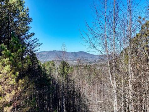 Lot 24 Loftis Mountain Blairsville GA 30512
