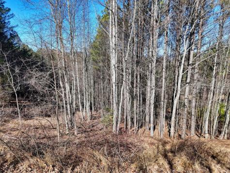 Lot 24 Loftis Mountain Blairsville GA 30512