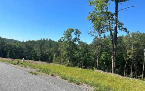 LT12 The Laurels Of Branch Mineral Bluff GA 30559