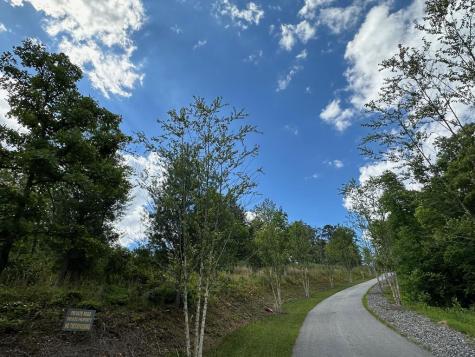 LT12 The Laurels Of Branch Mineral Bluff GA 30559