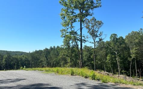 LT12 The Laurels Of Branch Mineral Bluff GA 30559