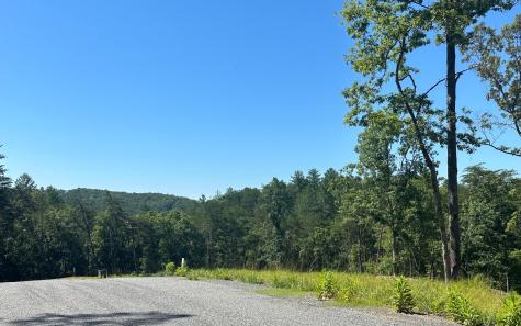 LT12 The Laurels Of Branch Mineral Bluff GA 30559