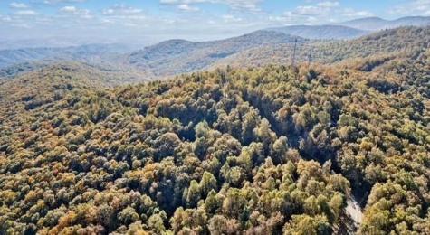 Lot 3 Upper Sassafras Parkway Jasper GA 30143