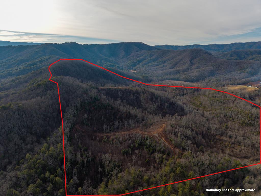 156+ Ac Higdon Creek Road Blue Ridge GA 30513