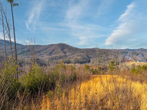 156+ Ac Higdon Creek Road Blue Ridge GA 30513