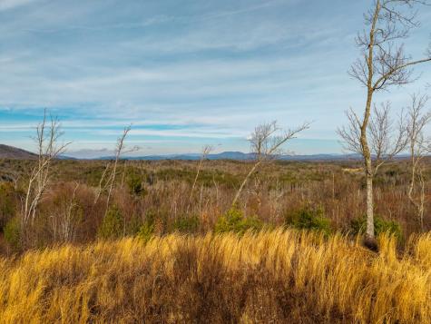 156+ Ac Higdon Creek Road Blue Ridge GA 30513