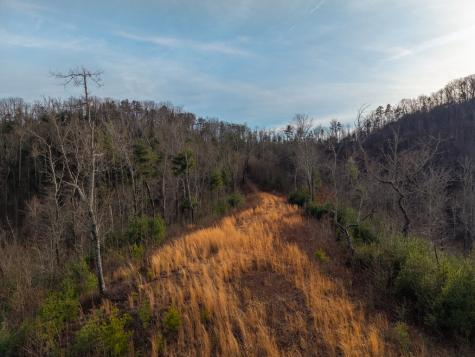 156+ Ac Higdon Creek Road Blue Ridge GA 30513