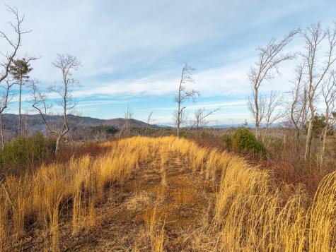 156+ Ac Higdon Creek Road Blue Ridge GA 30513