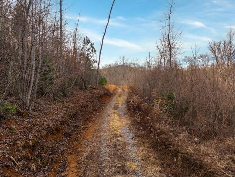 156+ Ac Higdon Creek Road Blue Ridge GA 30513