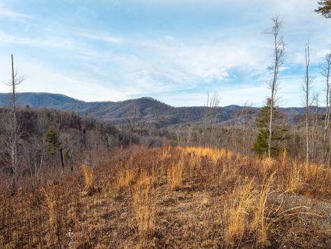 156+ Ac Higdon Creek Road Blue Ridge GA 30513