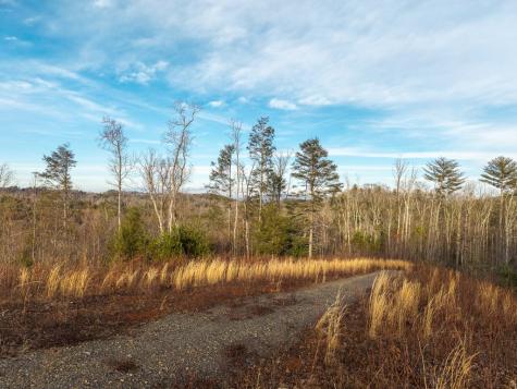 156+ Ac Higdon Creek Road Blue Ridge GA 30513