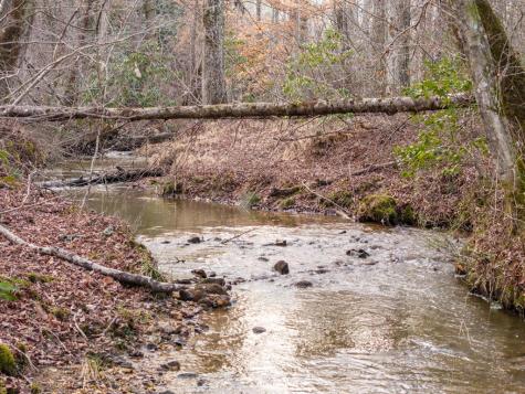 156+ Ac Higdon Creek Road Blue Ridge GA 30513