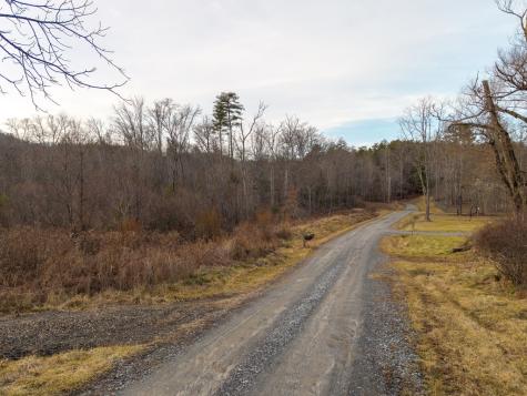 156+ Ac Higdon Creek Road Blue Ridge GA 30513