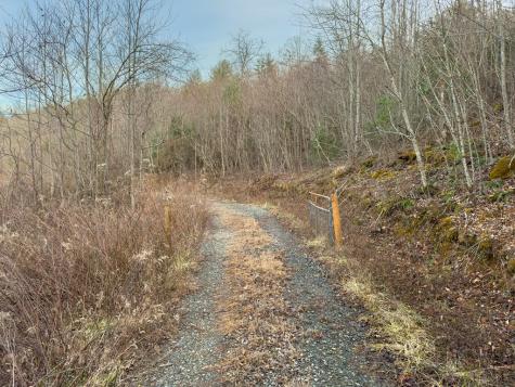 156+ Ac Higdon Creek Road Blue Ridge GA 30513