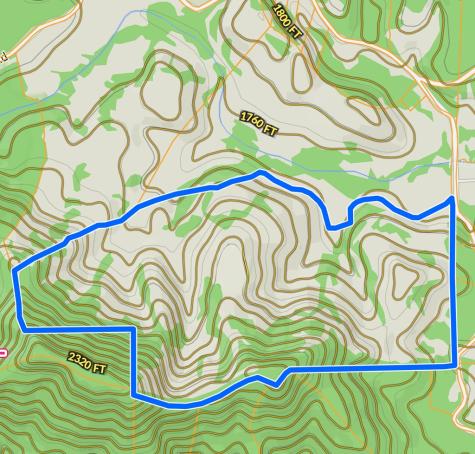 156+ Ac Higdon Creek Road Blue Ridge GA 30513