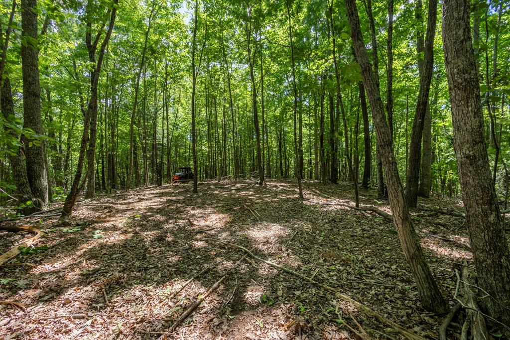 20 Ac Pack Mountain Road Murphy NC 28906