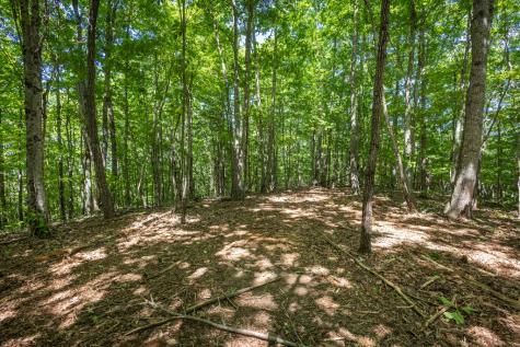 20 Ac Pack Mountain Road Murphy NC 28906