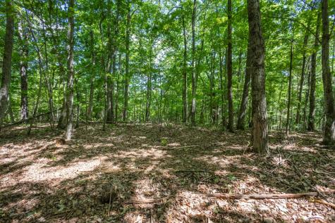 20 Ac Pack Mountain Road Murphy NC 28906