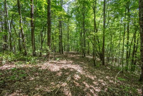 20 Ac Pack Mountain Road Murphy NC 28906