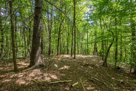 20 Ac Pack Mountain Road Murphy NC 28906