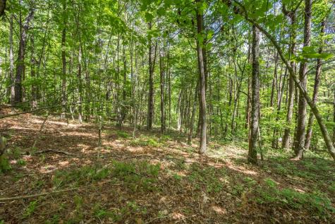 20 Ac Pack Mountain Road Murphy NC 28906