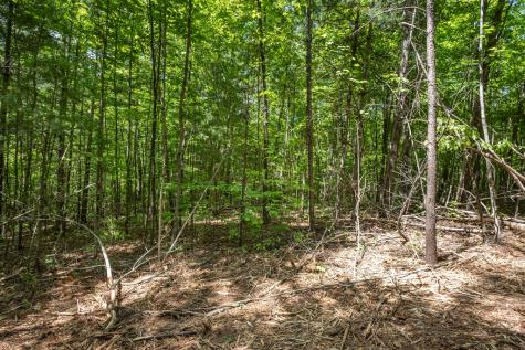 20 Ac Pack Mountain Road Murphy NC 28906