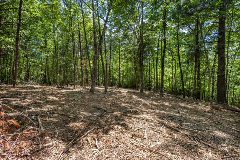 20 Ac Pack Mountain Road Murphy NC 28906