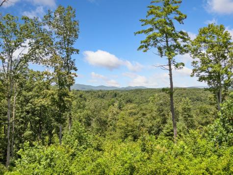 105 River Knoll Trail Ellijay GA 30540