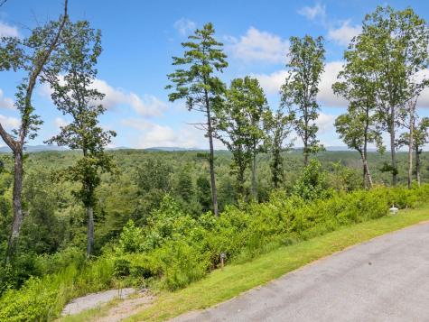 105 River Knoll Trail Ellijay GA 30540