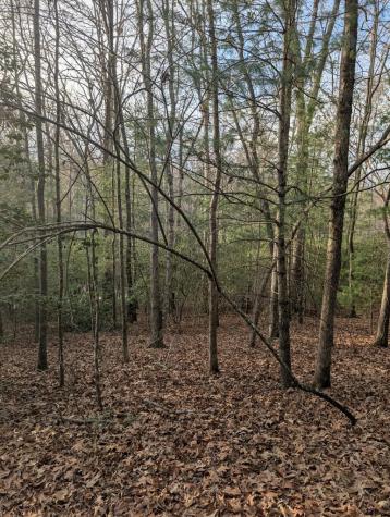 193 Opossum Road Blairsville GA 30512