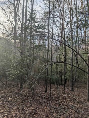 193 Opossum Road Blairsville GA 30512