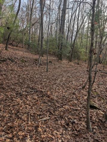 193 Opossum Road Blairsville GA 30512