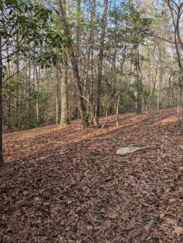 193 Opossum Road Blairsville GA 30512