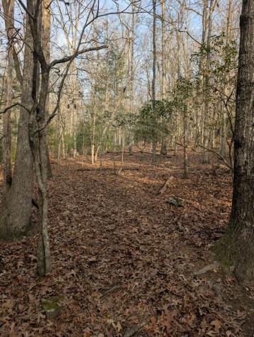 193 Opossum Road Blairsville GA 30512