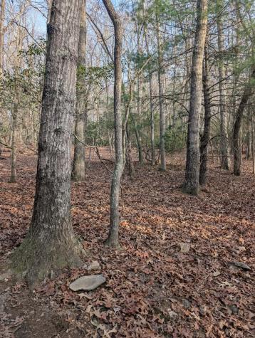 193 Opossum Road Blairsville GA 30512