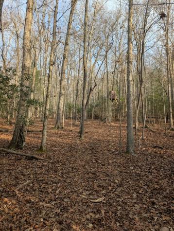 193 Opossum Road Blairsville GA 30512