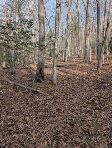 193 Opossum Road Blairsville GA 30512