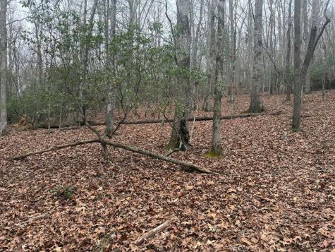 193 Opossum Road Blairsville GA 30512