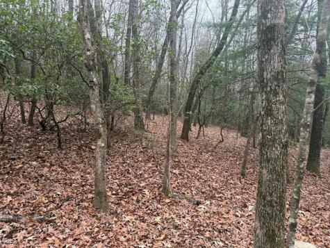 193 Opossum Road Blairsville GA 30512