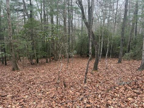 193 Opossum Road Blairsville GA 30512