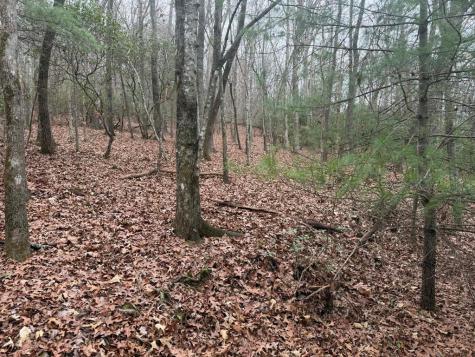 193 Opossum Road Blairsville GA 30512