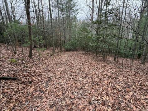 193 Opossum Road Blairsville GA 30512