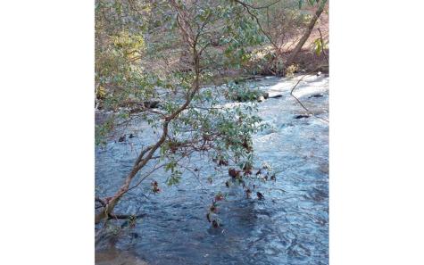 193 Opossum Road Blairsville GA 30512