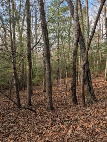 193 Opossum Road Blairsville GA 30512