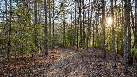 178 Arp Road Mineral Bluff GA 30559