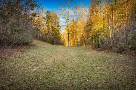 178 Arp Road Mineral Bluff GA 30559