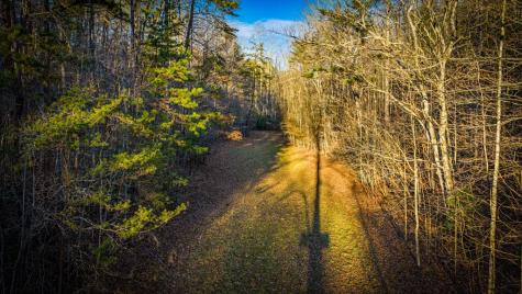 178 Arp Road Mineral Bluff GA 30559